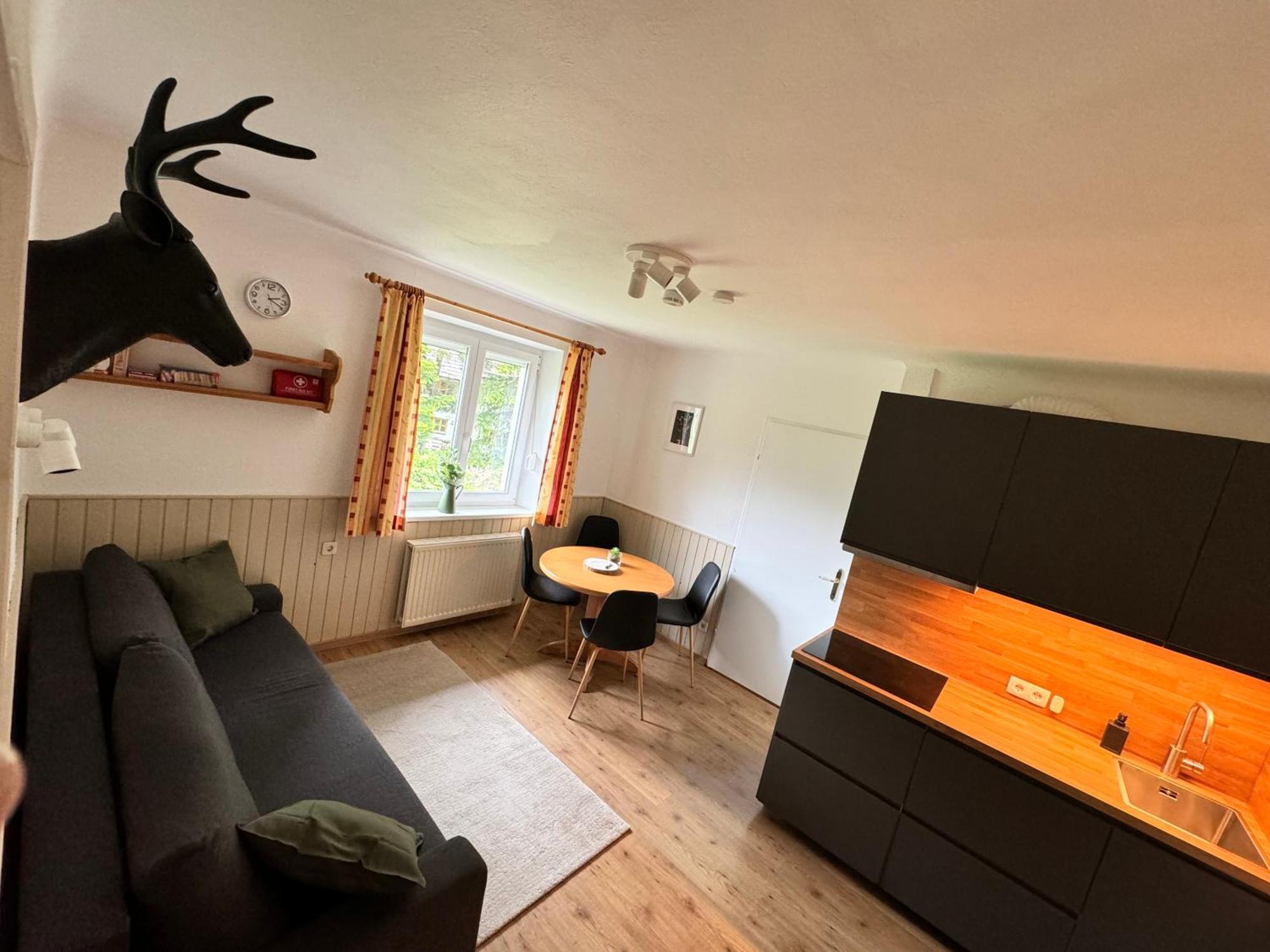 Ah Carinthia Mallnitz - Carinthia Appartements Екстериор снимка